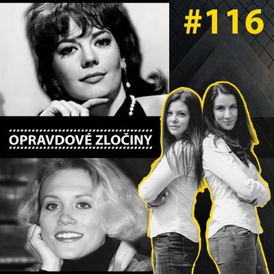 #116 - Natalie Wood & Stacey Lannert episode artwork