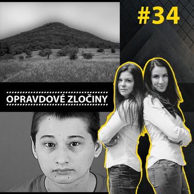 #34 - Trhlina & Gypsy Rose Blanchard episode artwork